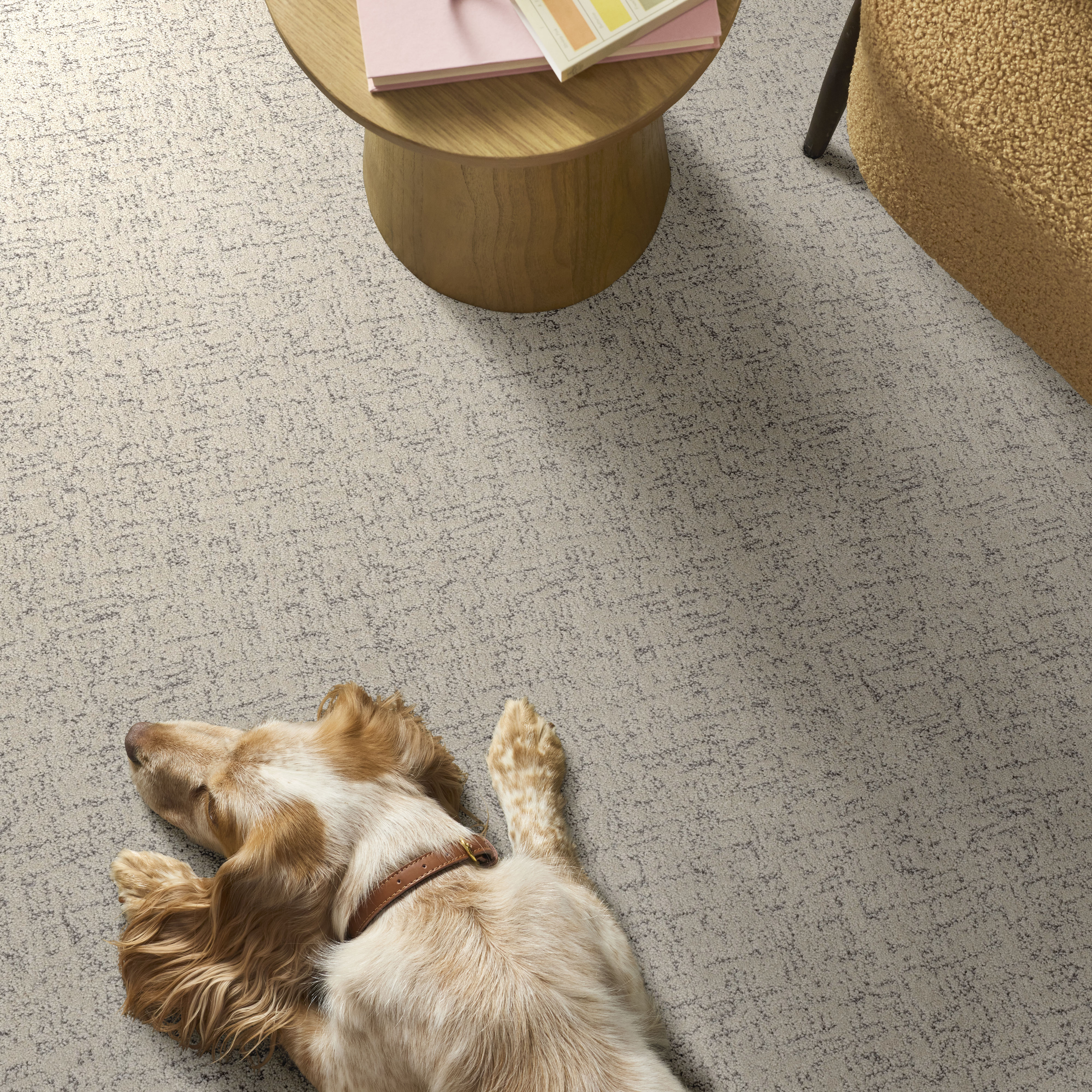 Run Free - Snowfall Carpet | Shaw Floors